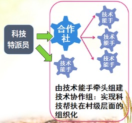 天津市科技幫扶信息服務(wù)平臺(tái) 專業(yè)信息技術(shù)咨詢服務(wù)助力發(fā)展